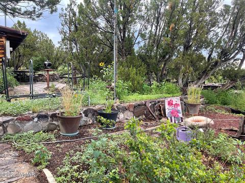 361 W 4th St, Eagar, AZ 85925 photo 5