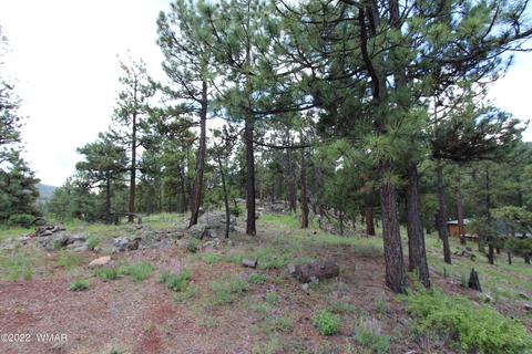 1 1013, Greer, AZ 85927 photo 20