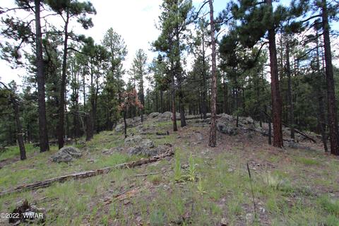 1 1013, Greer, AZ 85927 photo 14