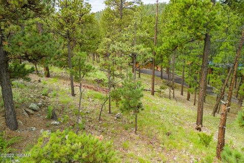 1 1013, Greer, AZ 85927 photo 2
