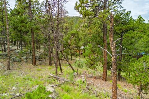 1 1013, Greer, AZ 85927 photo 3
