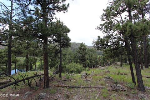 1 1013, Greer, AZ 85927 photo 13
