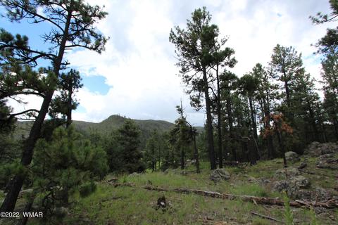 1 1013, Greer, AZ 85927 photo 9