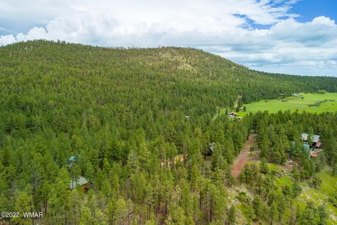 1 1013, Greer, AZ 85927 photo 8