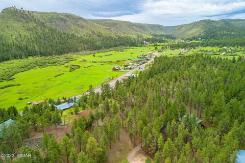 1 1013, Greer, AZ 85927 photo 6