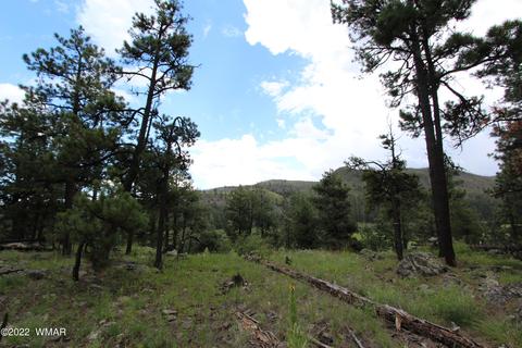 1 1013, Greer, AZ 85927 photo 11