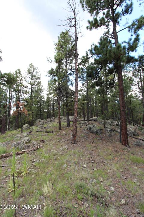 1 1013, Greer, AZ 85927 photo 19