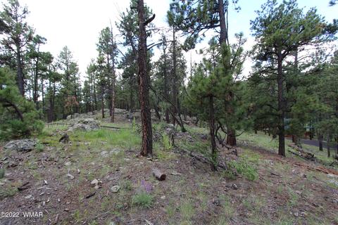 1 1013, Greer, AZ 85927 photo 16