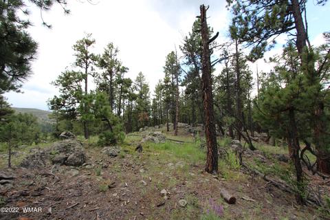 1 1013, Greer, AZ 85927 photo 15