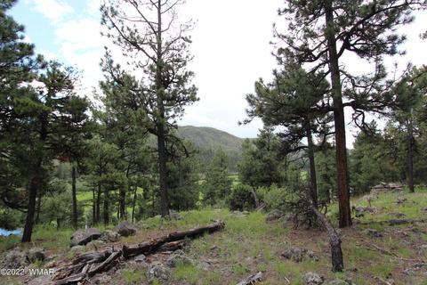 1 1013, Greer, AZ 85927 photo 10