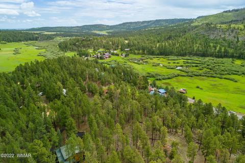 1 1013, Greer, AZ 85927 photo 7