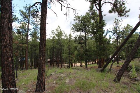 1 1013, Greer, AZ 85927 photo 12