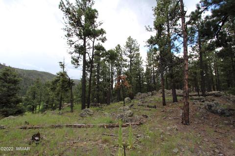 1 1013, Greer, AZ 85927 photo 18