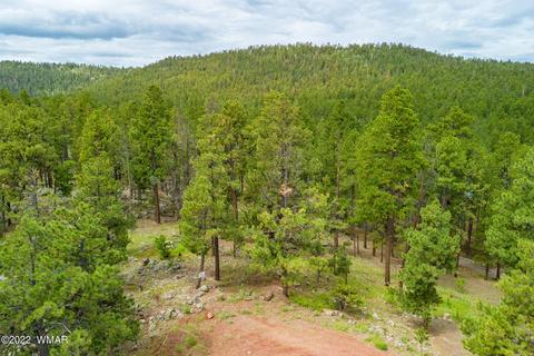 1 1013, Greer, AZ 85927
