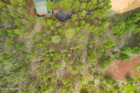 1 1013, Greer, AZ 85927 photo 5