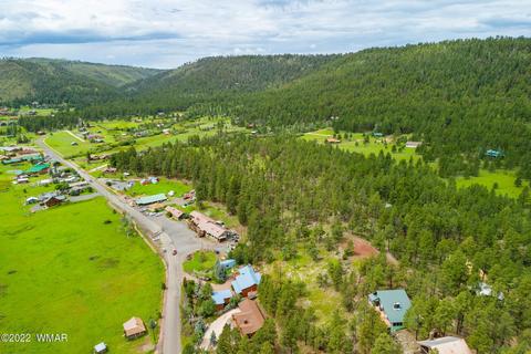 1 1013, Greer, AZ 85927 photo 21