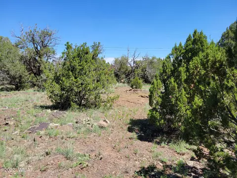 8358 Apache Dr, Show Low, AZ 85901 photo 5