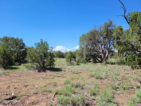 8358 Apache Dr, Show Low, AZ 85901 photo 3