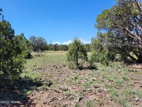 8358 Apache Dr, Show Low, AZ 85901 photo 7