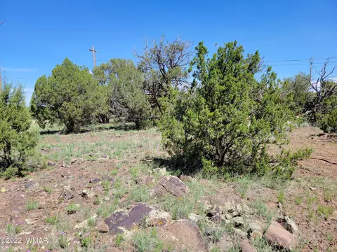 8358 Apache Dr, Show Low, AZ 85901 photo 6