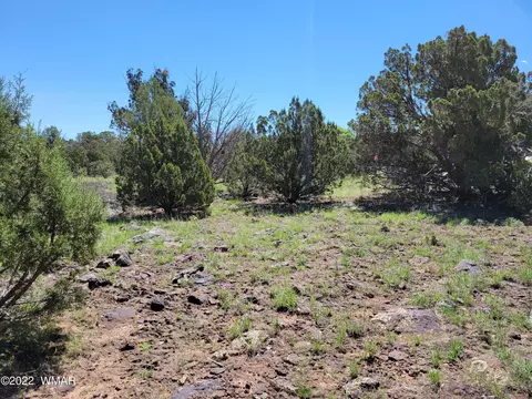 8358 Apache Dr, Show Low, AZ 85901 photo 8