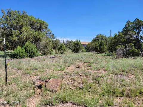 8358 Apache Dr, Show Low, AZ 85901 photo 4