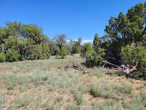 8358 Apache Dr, Show Low, AZ 85901