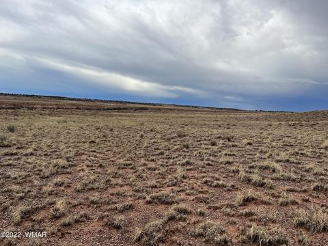 9131 Uttecht Trl, Snowflake, AZ 85937 photo 3