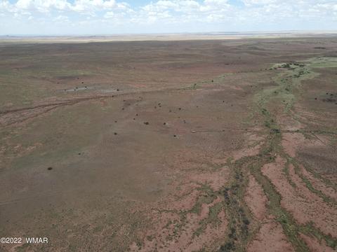 9131 Uttecht Trl, Snowflake, AZ 85937 photo 7