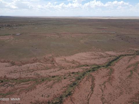 9131 Uttecht Trl, Snowflake, AZ 85937 photo 9