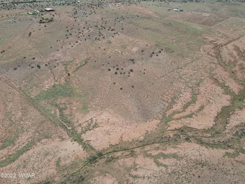 9131 Uttecht Trl, Snowflake, AZ 85937 photo 6