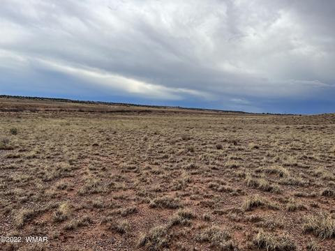 9131 Uttecht Trl, Snowflake, AZ 85937 photo 2