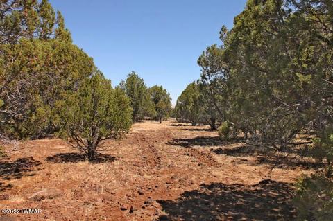 Tbd Lake Land Rd, Show Low, AZ 85901