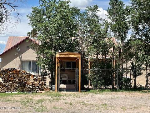 43 N B St, Springerville, AZ 85938 photo 3
