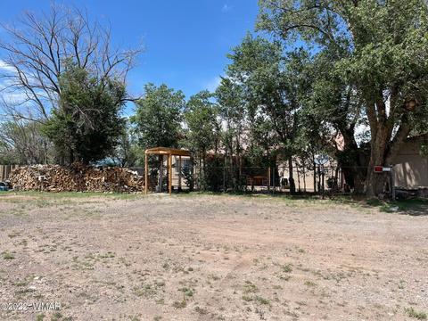 43 N B St, Springerville, AZ 85938 photo 6