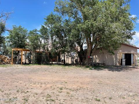 43 N B St, Springerville, AZ 85938 photo 5