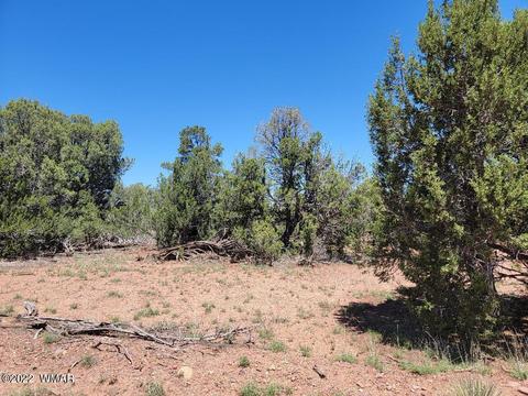 3518 Cedar Creek Dr, Overgaard, AZ 85933 photo 7