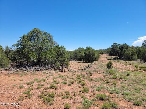 3518 Cedar Creek Dr, Overgaard, AZ 85933 photo 9