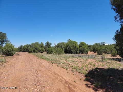 3518 Cedar Creek Dr, Overgaard, AZ 85933 photo 2