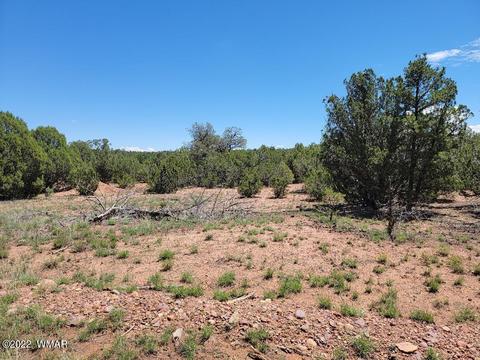 3518 Cedar Creek Dr, Overgaard, AZ 85933 photo 10