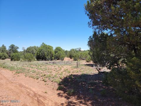 3518 Cedar Creek Dr, Overgaard, AZ 85933 photo 1
