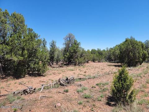 3518 Cedar Creek Dr, Overgaard, AZ 85933 photo 8