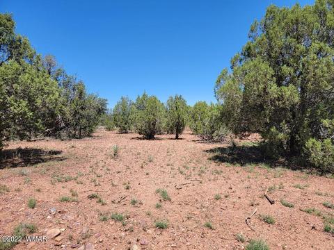 3518 Cedar Creek Dr, Overgaard, AZ 85933 photo 6