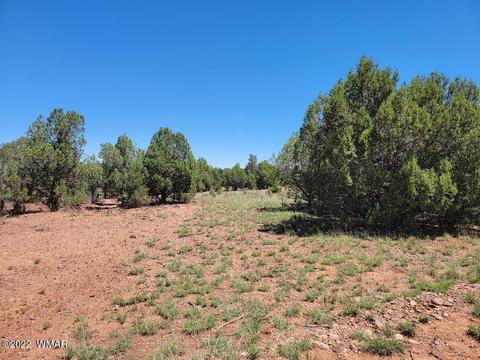3518 Cedar Creek Dr, Overgaard, AZ 85933 photo 5
