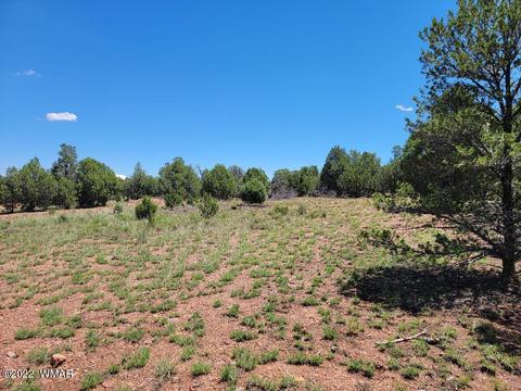 3526 Cedar Creek Dr, Overgaard, AZ 85933 photo 6