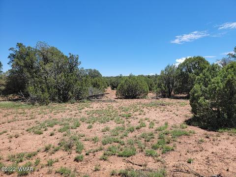 3526 Cedar Creek Dr, Overgaard, AZ 85933 photo 5