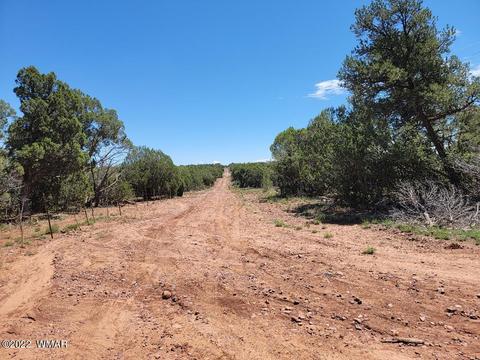 3526 Cedar Creek Dr, Overgaard, AZ 85933 photo 4
