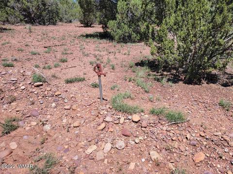 3526 Cedar Creek Dr, Overgaard, AZ 85933 photo 2