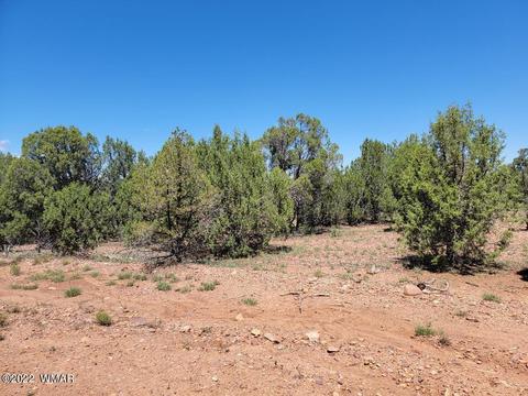 3526 Cedar Creek Dr, Overgaard, AZ 85933 photo 9