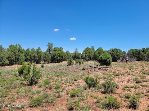3526 Cedar Creek Dr, Overgaard, AZ 85933 photo 8